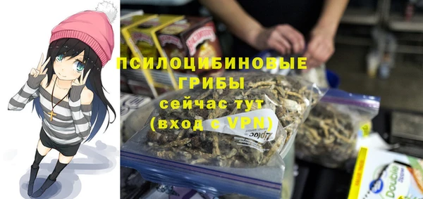 первитин Лагань