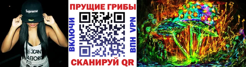 Псилоцибиновые грибы Psilocybine cubensis  купить закладку  OMG ONION  Чернушка 