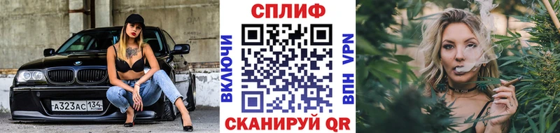 Шишки марихуана план  наркошоп  Чернушка 